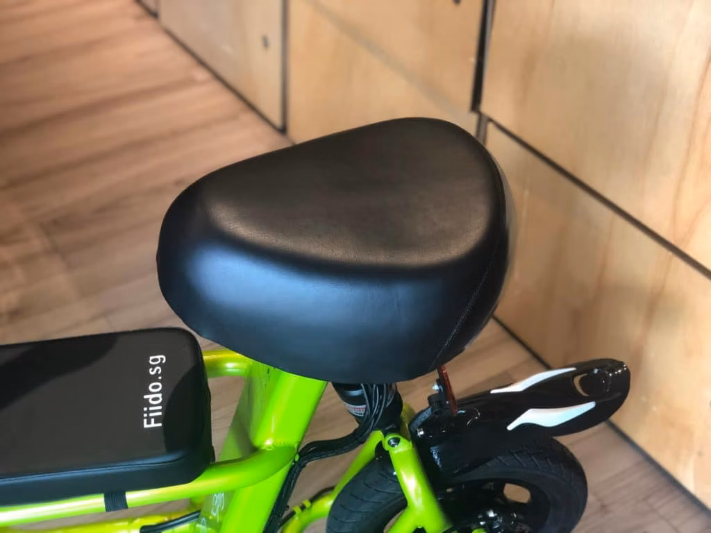 Why Fiido Electric Scooter is Popular in Malaysia Market?