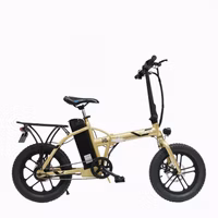 Kernel ORCA Electric Bicycle