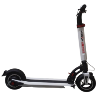 Passion Light 2.0 Electric Scooter