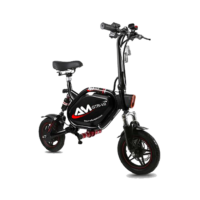 Passion AM GTR V2 Electric Scooter