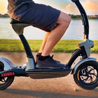 Kobra Electric Scooter - Black