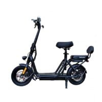 MaximalSG F09 Electric Scooter