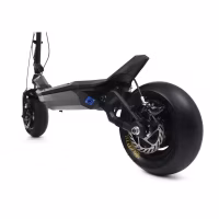 Rion Special Edition Electric Scooter - Deck