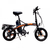 MaximalSG Cheetah Electric Bicycle