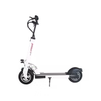 Minimotors Speedway ST Electric Scooter