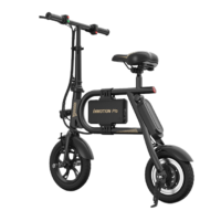 Inmotion P1D Electric Scooter