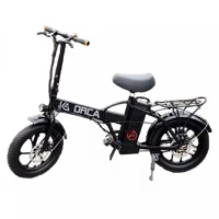 Kernel ORCA Electric Bicycle with External Battery