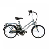 MaximalSG Kudu Pro Electric Bicycle