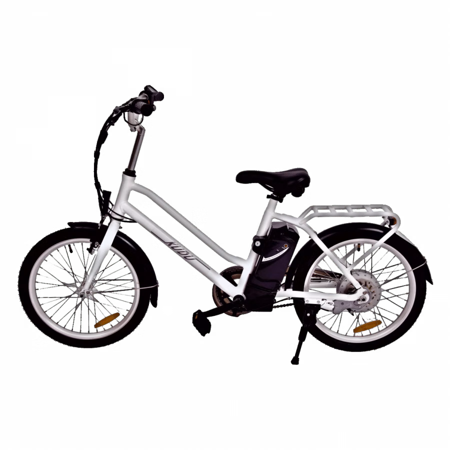 MaximalSG Kudu Electric Bicycle