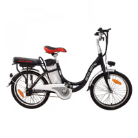 Express Drive Electric Bicycle