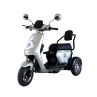 TriMA X1 Personal Mobility Aids (PMA) Scooter