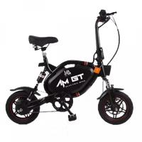 Kernel AMGT Electric Bicycle (Used)