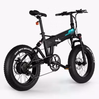 Fiido M1 Pro Electric Bicycle