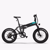 Fiido M1 Pro Electric Bicycle
