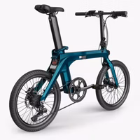 Fiido X Electric Bike