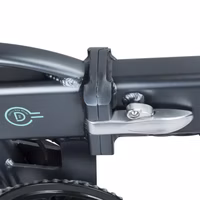 Fiido D2S Electric Bike - Lever