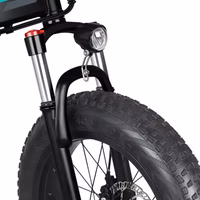 Fiido M1 Pro Electric Bicycle - Front Wheel