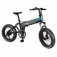 Fiido M1 Pro Electric Bicycle
