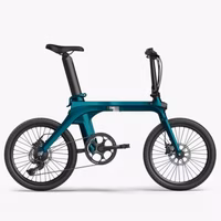 Fiido X Electric Bicycle