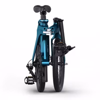 Fiido X Electric Bike - Folded