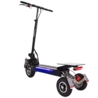 312-S Electric Tricycle – Self Balancing - Rear Angle View
