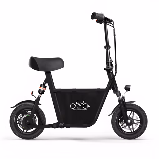 A Fiido Q1s eBike parked in an urban setting with cityscape.