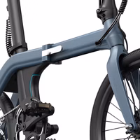 Fiido D11 Electric Bike - Frame