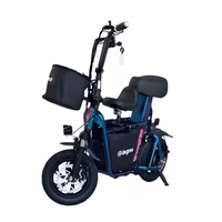 Edegree FS1 Electric Scooter - Titanium