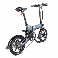 Fiido D11 Electric Bike