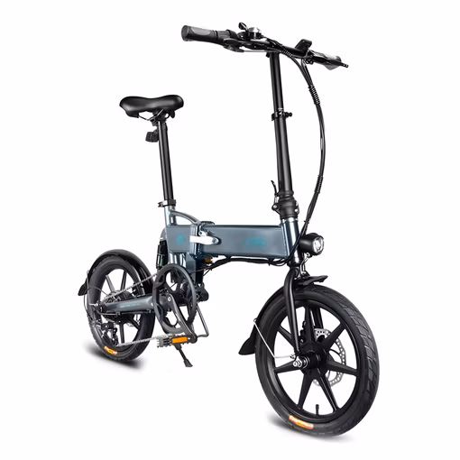 Fiido D2S Electric Bike