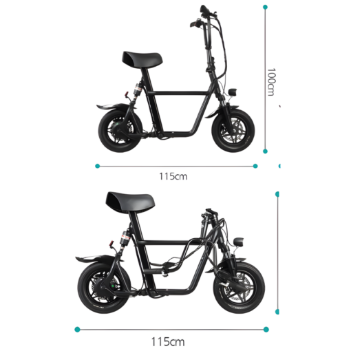 Fiido Q1S Electric Scooter