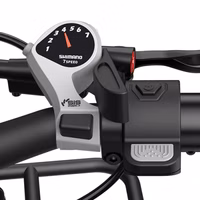 ADO Oasis 260T Dual-Battery Cargo Ebike - Gears