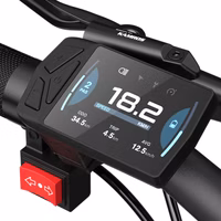 ADO Oasis 260T Dual-Battery Cargo Ebike - Meter
