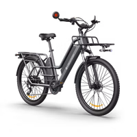 ADO Oasis 260T Dual-Battery Cargo Ebike