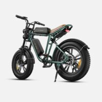 ENGWE M20 Fat Tyre Ebike