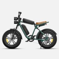 ENGWE M20 Fat Tyre Ebike