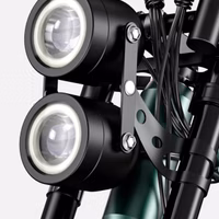 ENGWE M20 Fat Tyre Ebike - Light