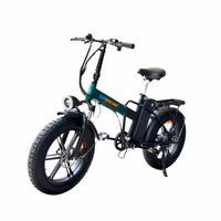 GoRacing F08 Fat Tyre Electric Bicycle