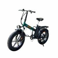 GoRacing F08 Fat Tyre Electric Bicycle