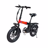 GoRacing Skylark Electric Bicycle