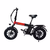 GoRacing Skylark Electric Bicycle