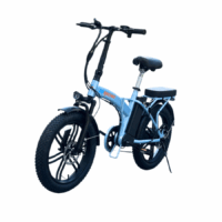 GoRacing Fashion Foldable Ebike