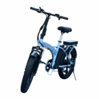 GoRacing Fashion Foldable Ebike