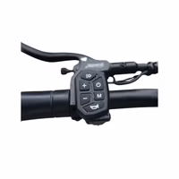 eDegree T50S Offroad Electric Scooter