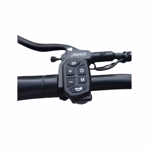 eDegree T50S Offroad Electric Scooter