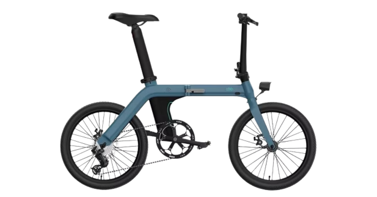 Fiido D11 Electric Bicycle
