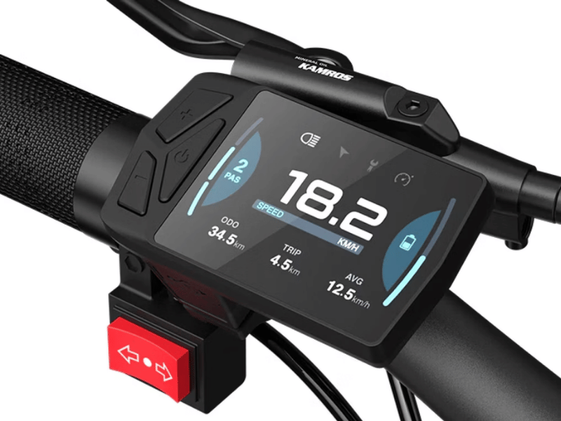 ADO Oasis 260T Dual-Battery Cargo Ebike
