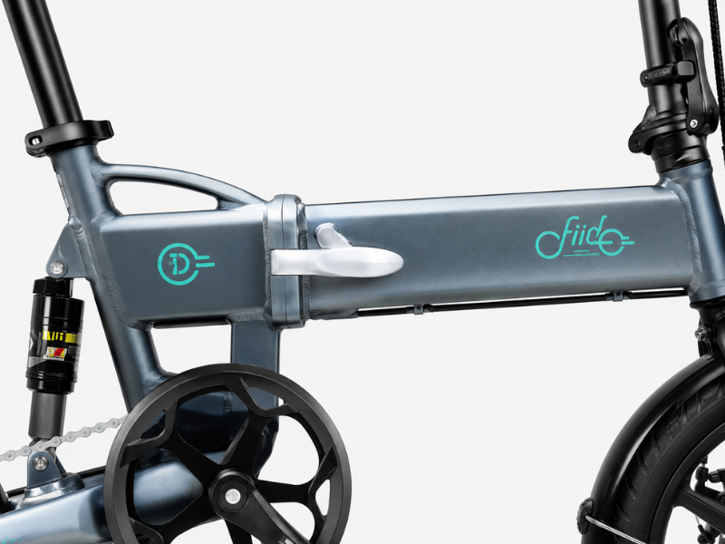 Fiido D2S Electric Bicycle