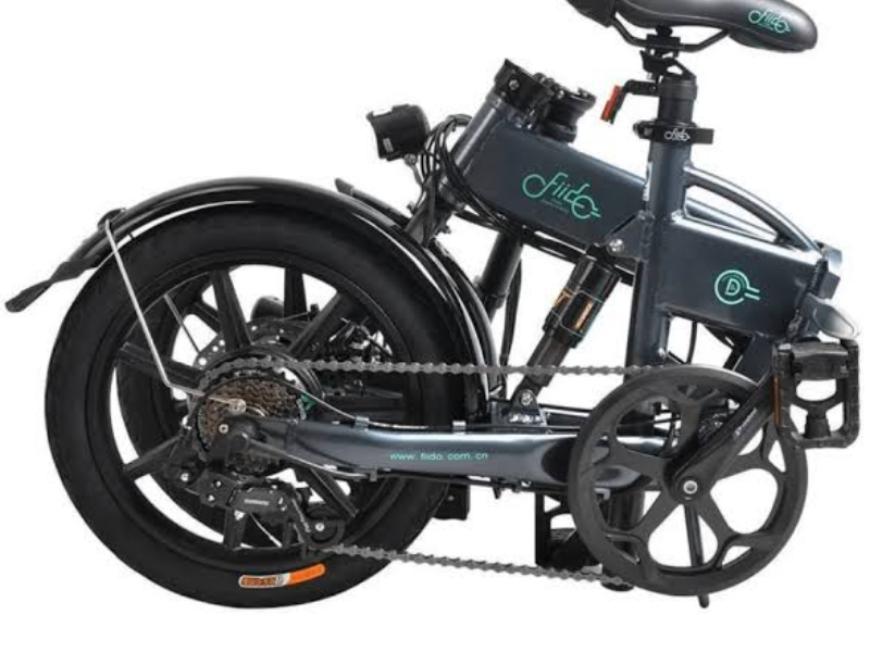 Fiido D2S Electric Bicycle