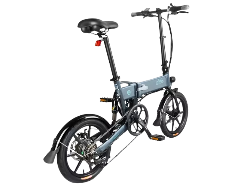Fiido D11 Electric Bicycle
